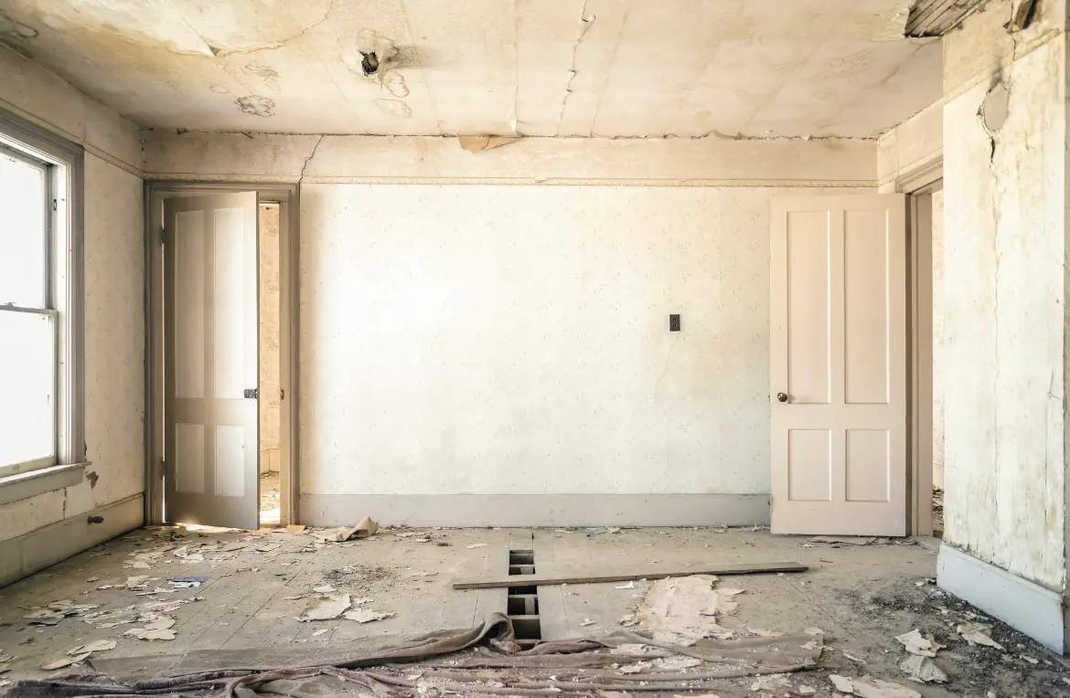 Waste disposal crew managing a cleanout project in Alexandria